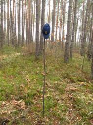 Паранине з panoramio.com