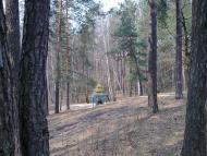 Дубовичі з panoramio.com