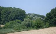 Радісне з panoramio.com