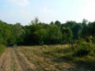 Крутеньке з panoramio.com