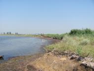 Тарасівка з panoramio.com