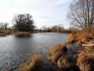 Новомутин з panoramio.com