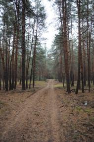 Черепин з panoramio.com