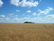 Малозахарине з panoramio.com