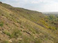 Кам'янка з panoramio.com