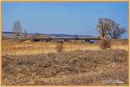Ямполівка з panoramio.com