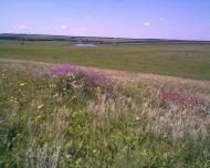 Бутенкове з panoramio.com