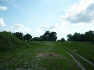 Майорщина з panoramio.com