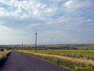 Барвінок з panoramio.com