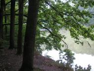 Піддубне з panoramio.com