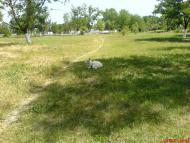 Талаківка з panoramio.com