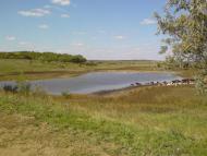 Чаус - Останні фото