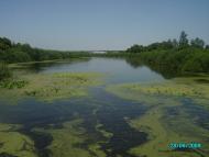 Дубовий Гай з panoramio.com