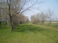 Новософіївка з panoramio.com