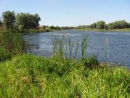 Розумівка з panoramio.com