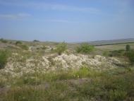 Пантеліївка з panoramio.com