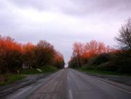 Комуніст з panoramio.com