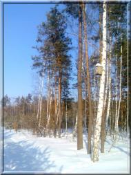 Кушкине з panoramio.com