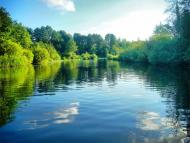 Марушівка - Останні фото