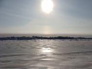 Максимівка з panoramio.com