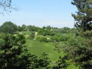 Яструбщина - Останні фото