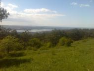 Піонерське з panoramio.com