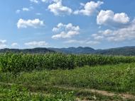 Керецьки з panoramio.com