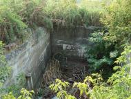 Весняна Квітка з panoramio.com