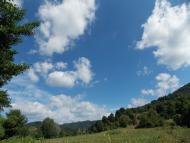 Довге з panoramio.com