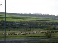 Рівне з panoramio.com