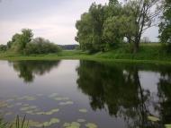 Новомутин з panoramio.com