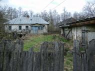 Шабалинів з panoramio.com