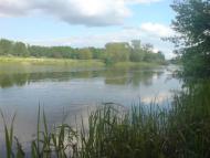 Саврань з panoramio.com