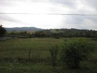 Жборівці з panoramio.com