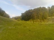 Блищанівка з panoramio.com