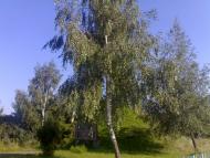 Вовчківці з panoramio.com