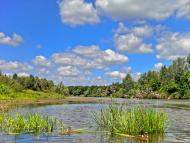 Нові Вирки з panoramio.com