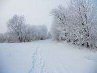 Вільшане з panoramio.com