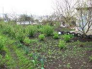 Шестакове з panoramio.com