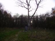 Розумівка з panoramio.com