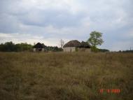 Масютівка - Останні фото