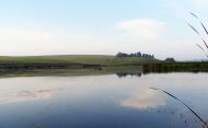 Рідкодуби з panoramio.com