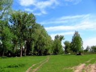 Сарни з panoramio.com