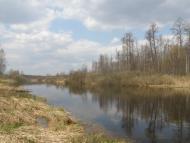 Довга Гребля з panoramio.com