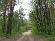 Кузьмине з panoramio.com