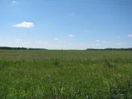 Яструбщина - Останні фото