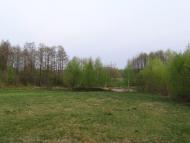 Вишевичі з panoramio.com