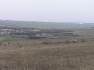 Тригради з panoramio.com