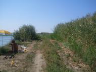 Рисове з panoramio.com