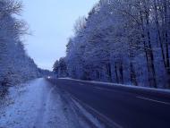 Лісопіль з panoramio.com